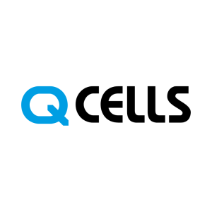 Q Cells
