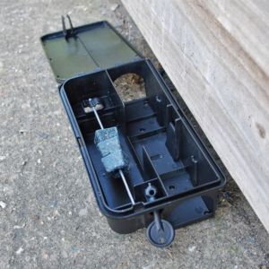 The Big Cheese All-Weather Block Bait - 15x10g, Quick Acting Rat & Mouse Bait - Image 6