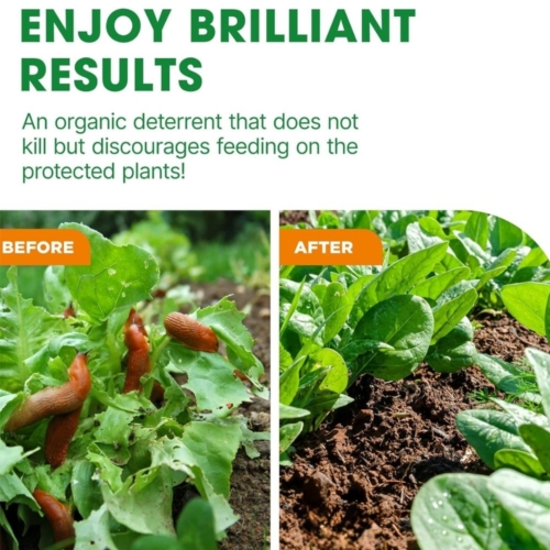 Doff Slugs Be Gone Defence Gel Poison-Free Slug and Snail Repellent 1 Litre - Image 6